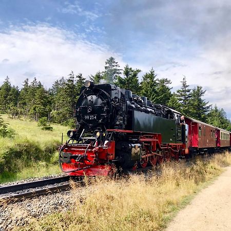 Fewo Schlossblick #Innenstadt #Garten #Netflix Von Harztraveler Wernigerode Bagian luar foto
