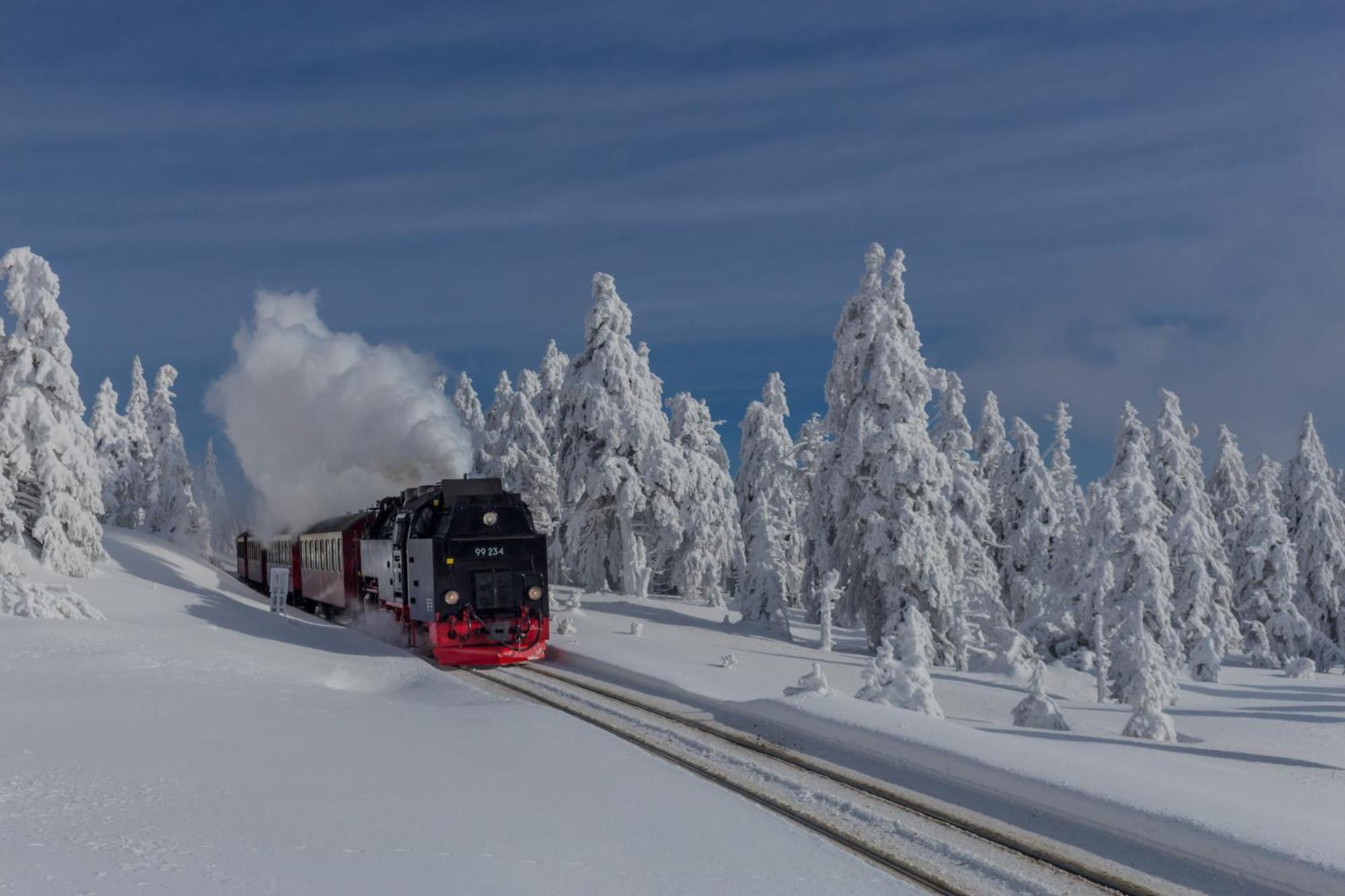 Fewo Schlossblick #Innenstadt #Garten #Netflix Von Harztraveler Wernigerode Bagian luar foto