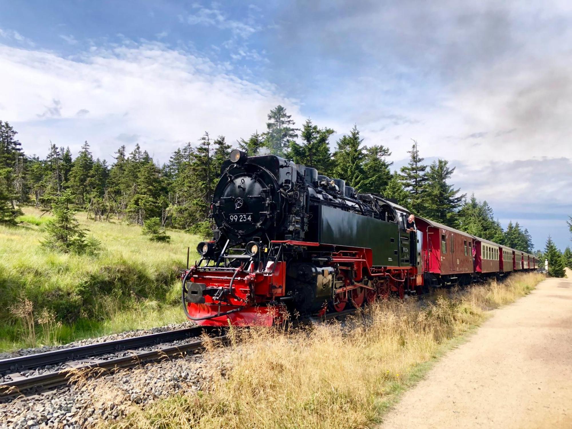 Fewo Schlossblick #Innenstadt #Garten #Netflix Von Harztraveler Wernigerode Bagian luar foto